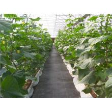 Agricultural Weed Control Fabric Mat Plastic Ground Cover