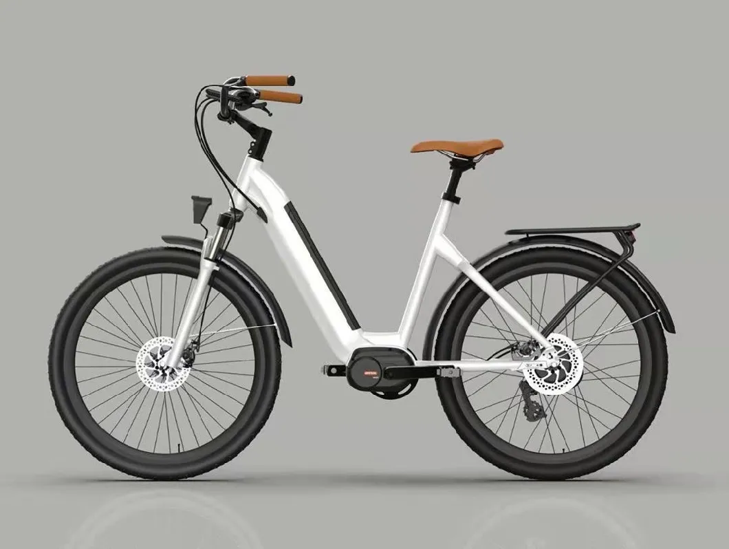 Folding Electric Bike 20*4.0 Tyre External 7speed 36V Electric Bike