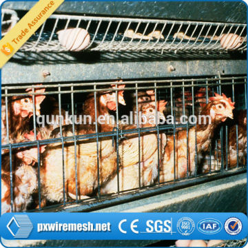 chicken farm equipment