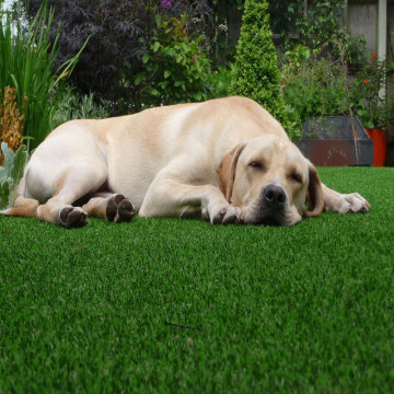 Landscape Pet Artificial Grass