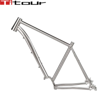 Titanium pinion bike frame