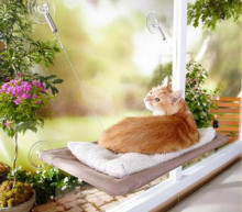 Magic Window Mounted Cat Bed