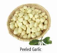 fresh garlic red
