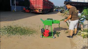 Wet And Dry Gasoline Chaff Cutter Machine