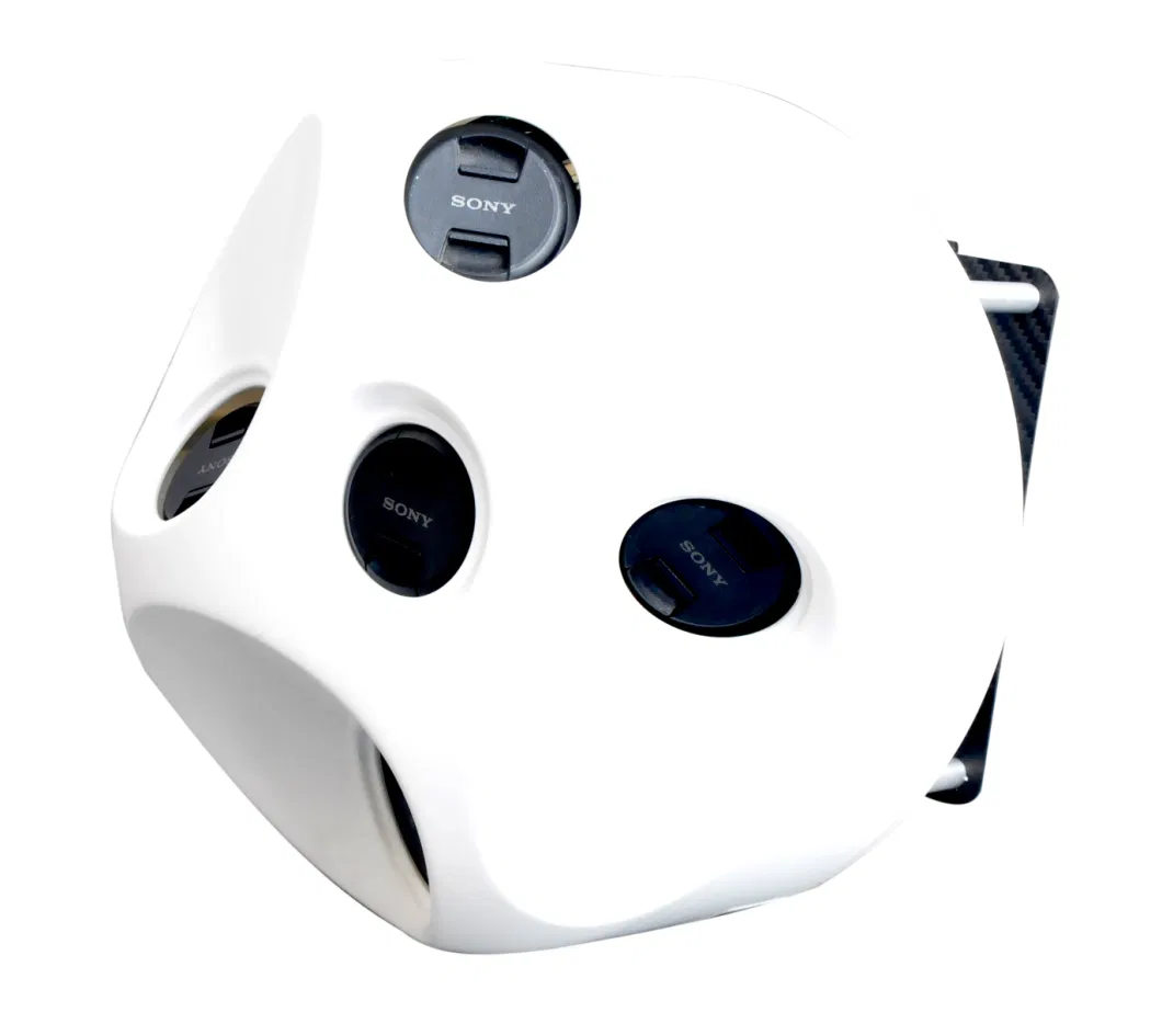 Oblique Photography Camera Mounted on Uav for High Efficient Surveying and Mapping