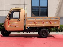 Half-shed three-wheeled motorcycle