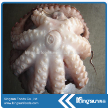 Good quality seafood giant octopus
