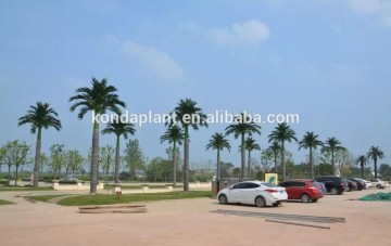 Decor fake /plastic/artificial coconut tree wholesale