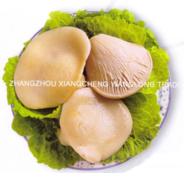 Canned Bailing Mushroom