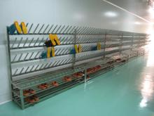 food plant Boots drying rack