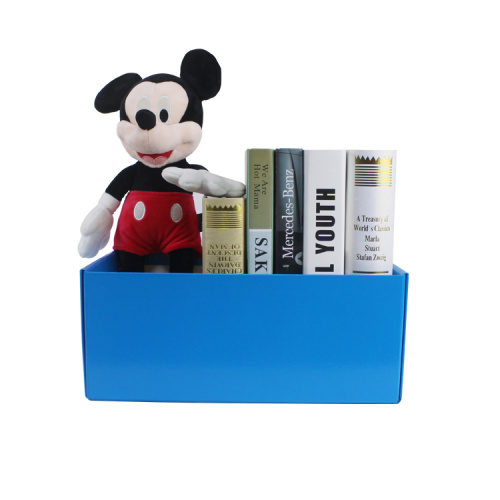 APEX Wholesale Waterproof Book Cardboard Storage Boxes