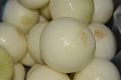 Hotsale Yellow Peeled Onion dengan kualitas bagus