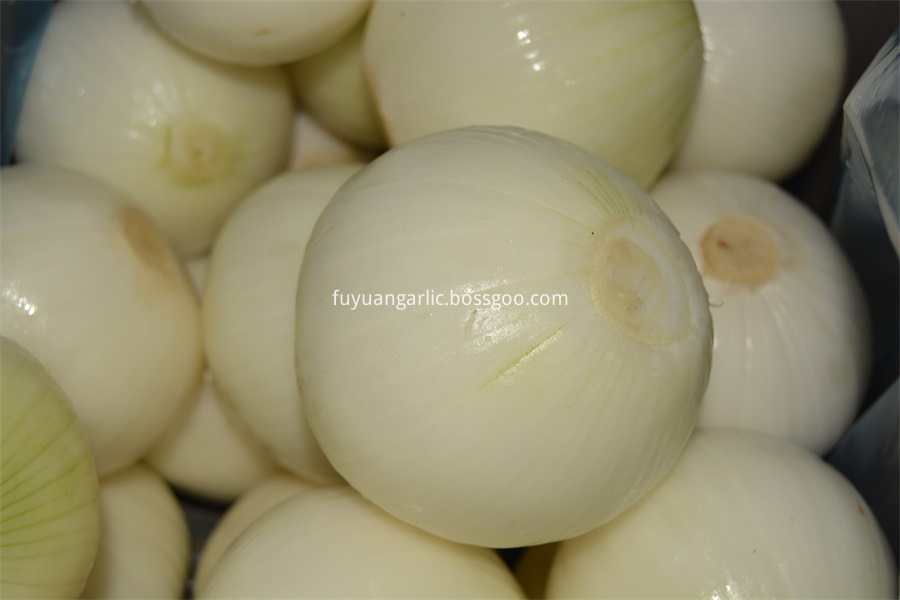 Yellow Peeled Onion