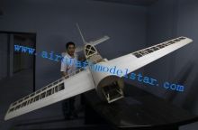 Yak54 300cc Giant Model Airplanes Balsa Wood With Aerobatics