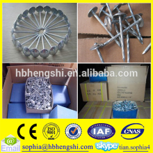 3 inch roofing nails with umbrella head