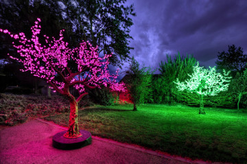 Tree Light  christmas decorative lights