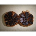 HOT HOT HEALTH BLACK GARLIC E US