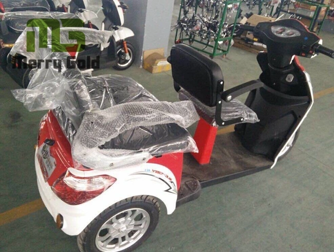 EEC Approved Three Wheel Electric Handicapped Trike/ Tricycle/ Scooter with Two Seats