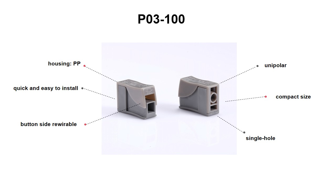 P03-100 P03-100