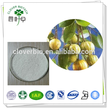 50% 60% HCA Garcinia cambogia extract powder