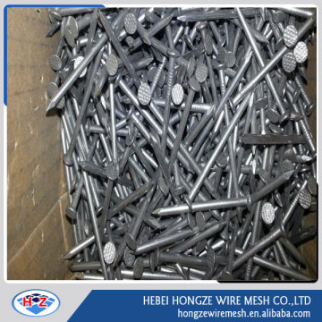 common nail/fence staples u nails/nail factory