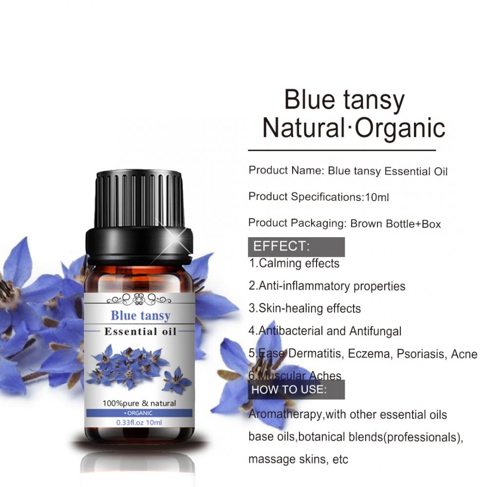 High Quality Blue Tansy Oil for Skin Care