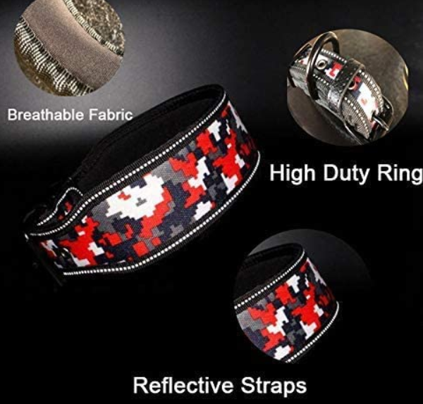 Rope Dog Collar