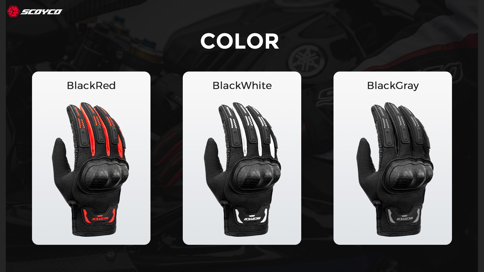 MC241_05_color MC241_05_color