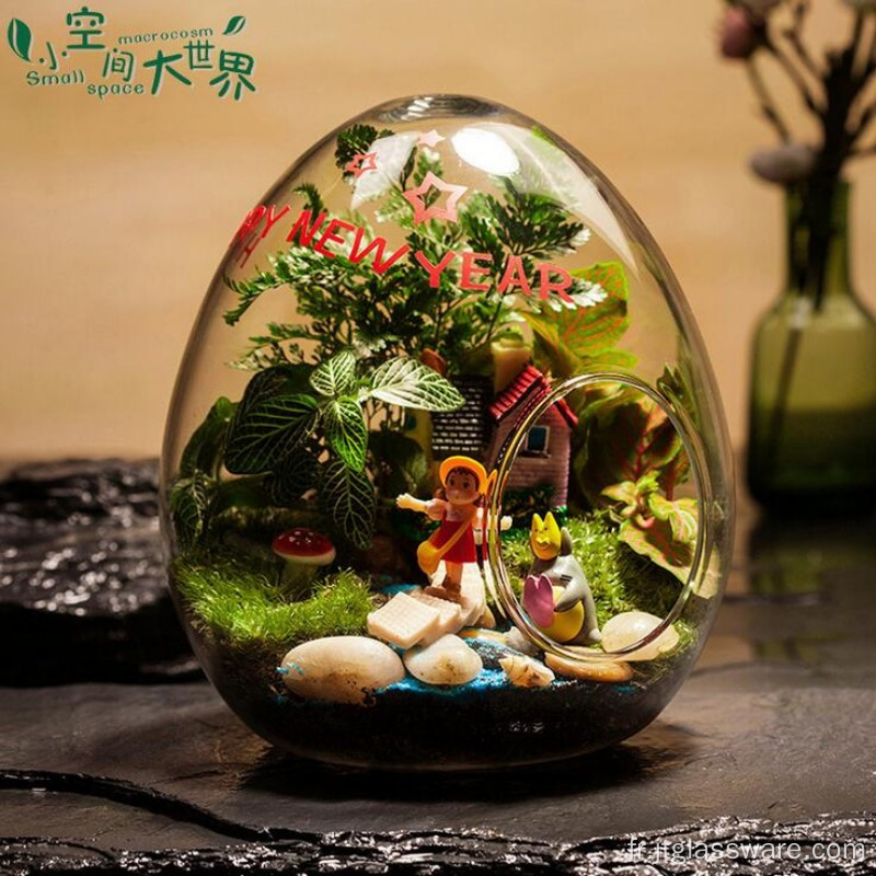 Terrarium en verre pour plantes succulentes