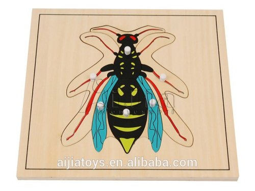 Montessori, montessori materials, Montessori wooden toys,Wasp Puzzle