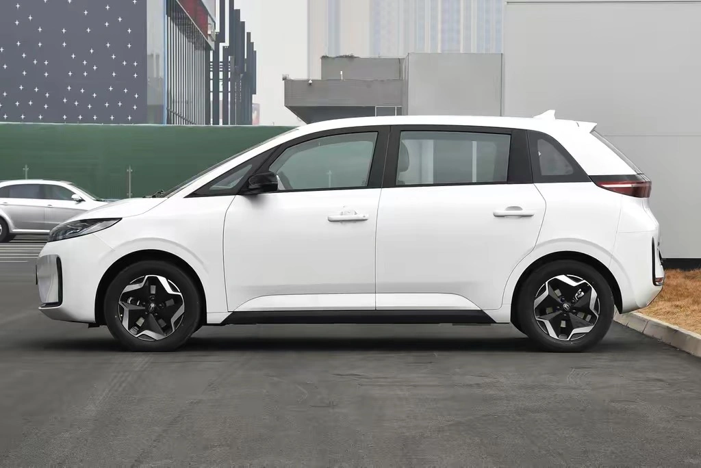 Byd D1 EV Electric Cheap High Speed Long Range New Energy Battery EV Electrical Electric Car Online Car-Hailing