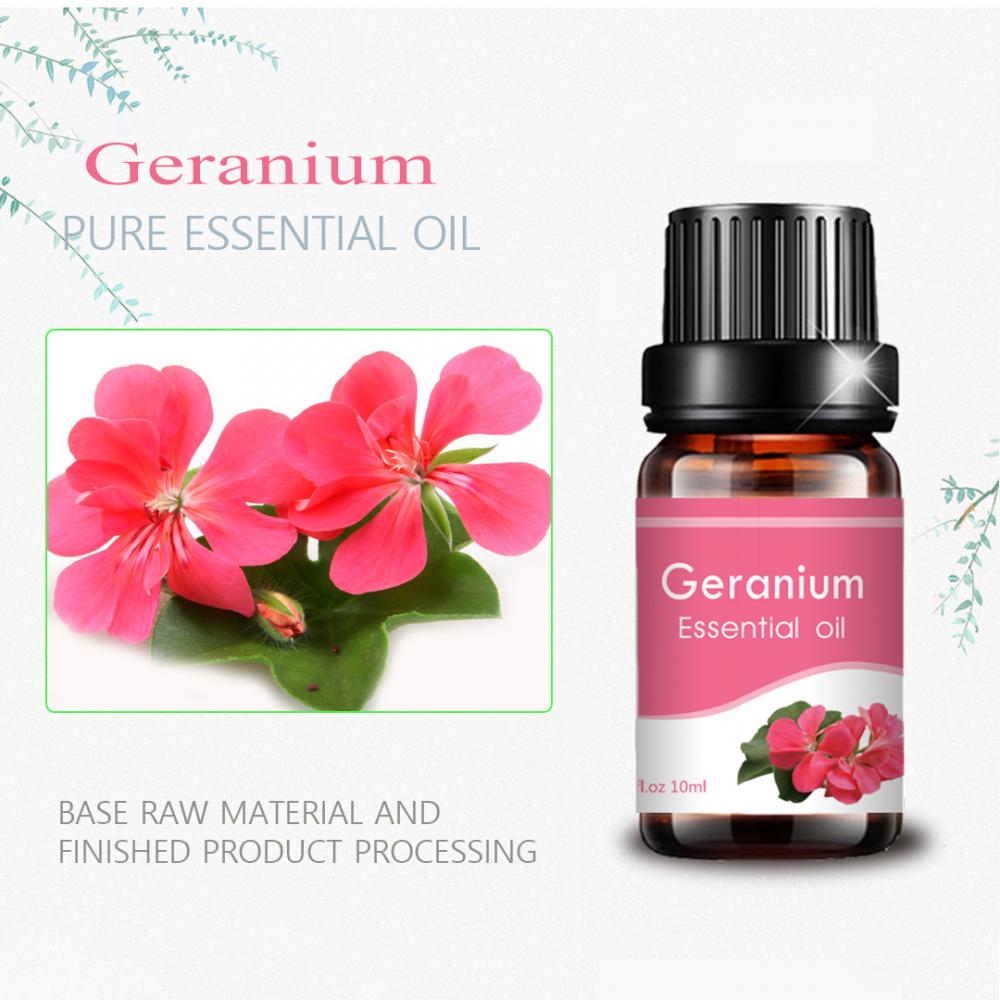 Geranium biologique 100% naturel 100% Natural Organic Pure Pure