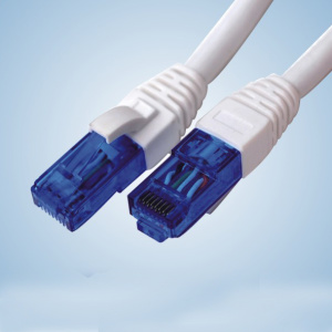 Cuerda de remiendo UTP Cat6a PVC