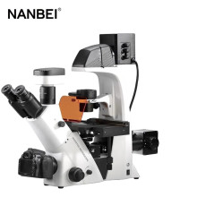 High-definition Stereoscopic Inverted Fluorescent Microscope