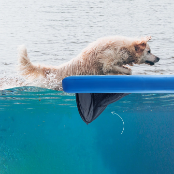 Wholesale High Quality Outdoor Inflatable Plank Climb Platform with Ladder and Dog Ramp