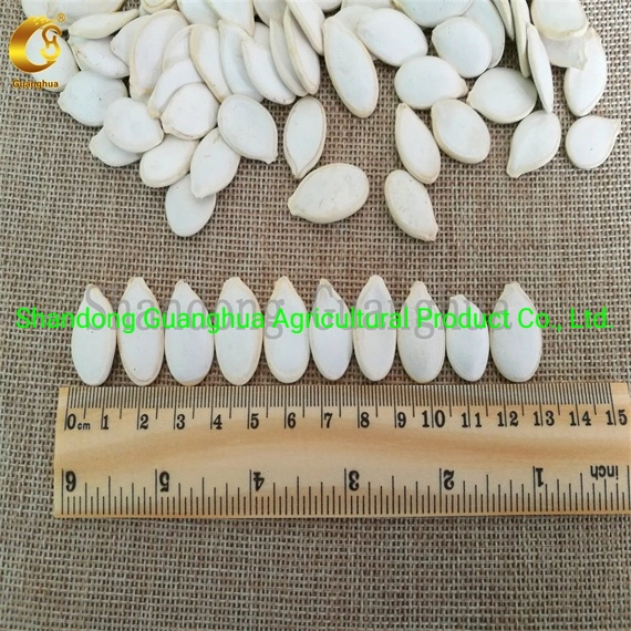 Snow White Pumpkin Seed Kernels