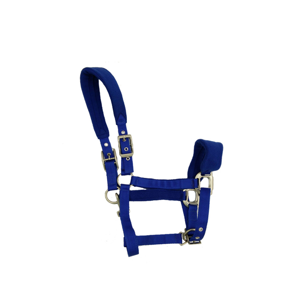 licou de cheval horse halter