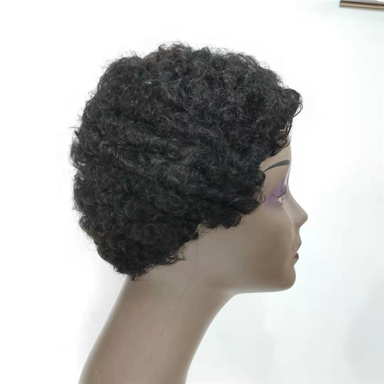 Afro Curly For Black women In Stock  100 Percent Authentic Human Hair  None Lace Human Hair Wigs