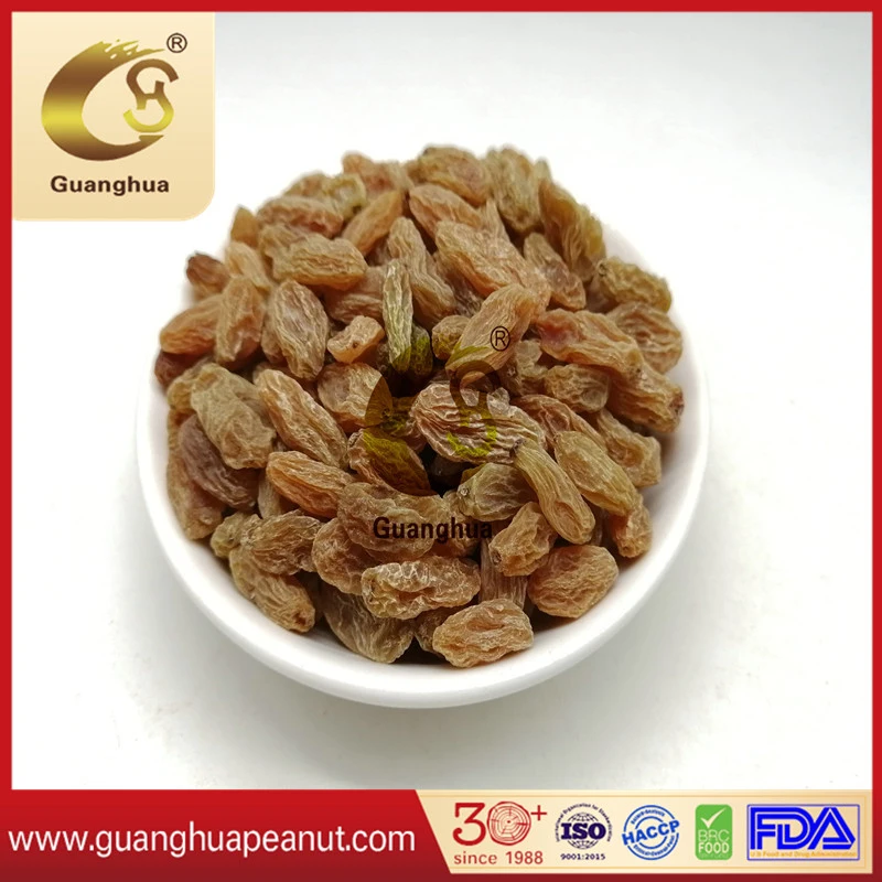Hot Sale Best Quality Natural Dried Frame Raisin