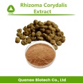 Rhizoma corydalis yanhusuo raíz extraíble Powde Price