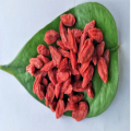 Ningxia Certified Hot sale Dried Organic Goji berry