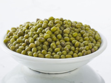 supply new green mung bean