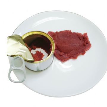 HACCP price of tomato paste in drum