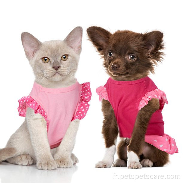 Robes de chien pour la fille mignonne femelle faire