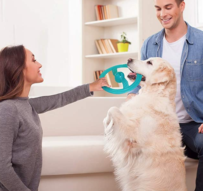 Flying Disc Pet Toys