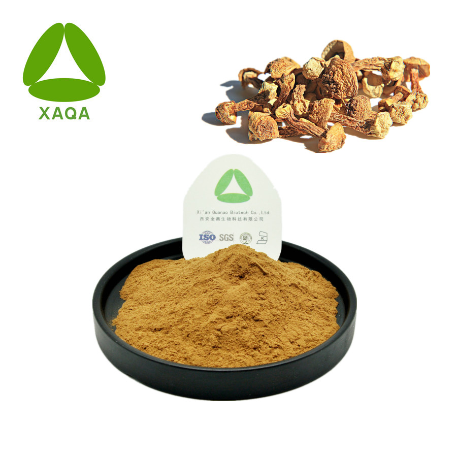 Agaricus Blazei Powder