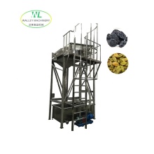 Hotsale Stainless Steel Prunes Cleaner: Rice Washing Machine for Plum Processing and Dried Dates Cleaning