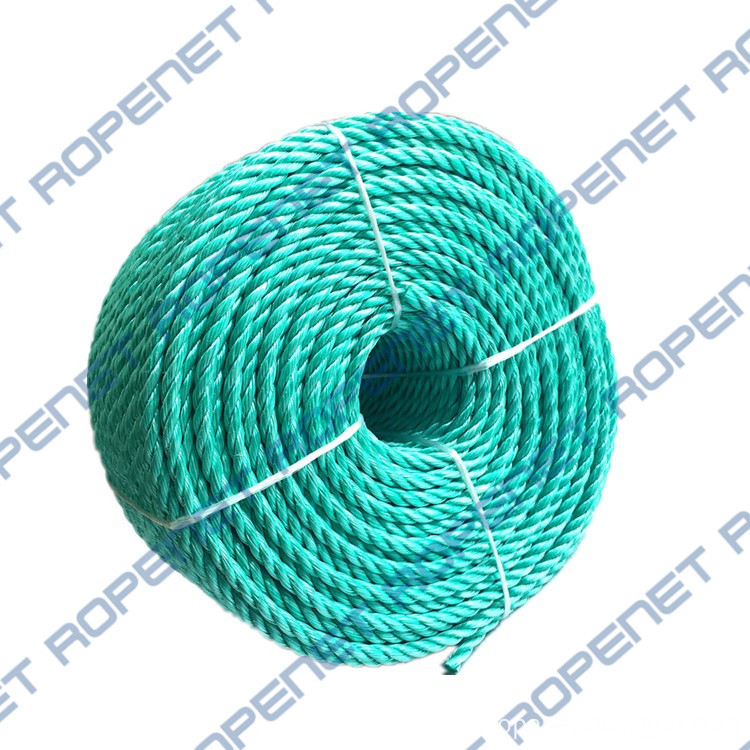 Pp Danline Rope 6mm 110m 18