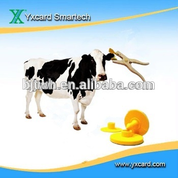 animal cow ear tag,livestock tag
