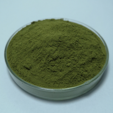 Organic Green Wheat Juice Powder